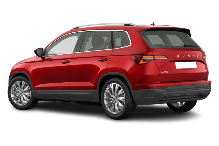 SKODA KAROQ — back