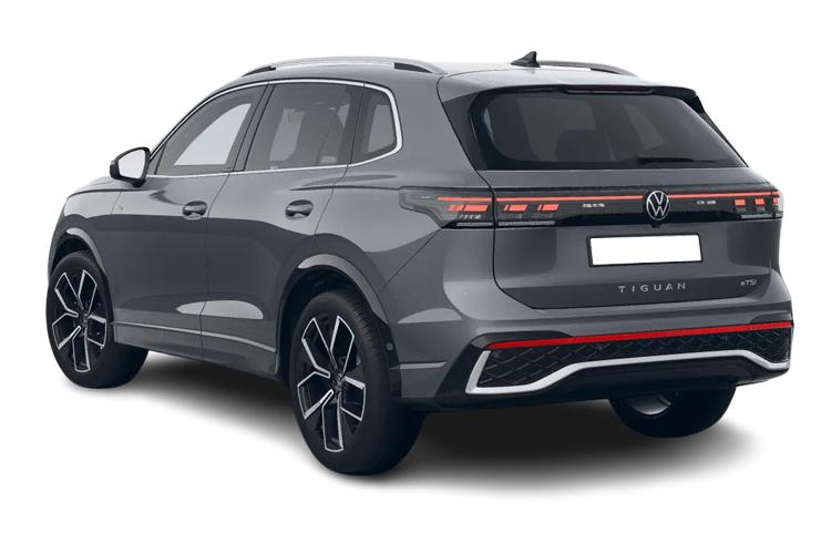VOLKSWAGEN TIGUAN — back